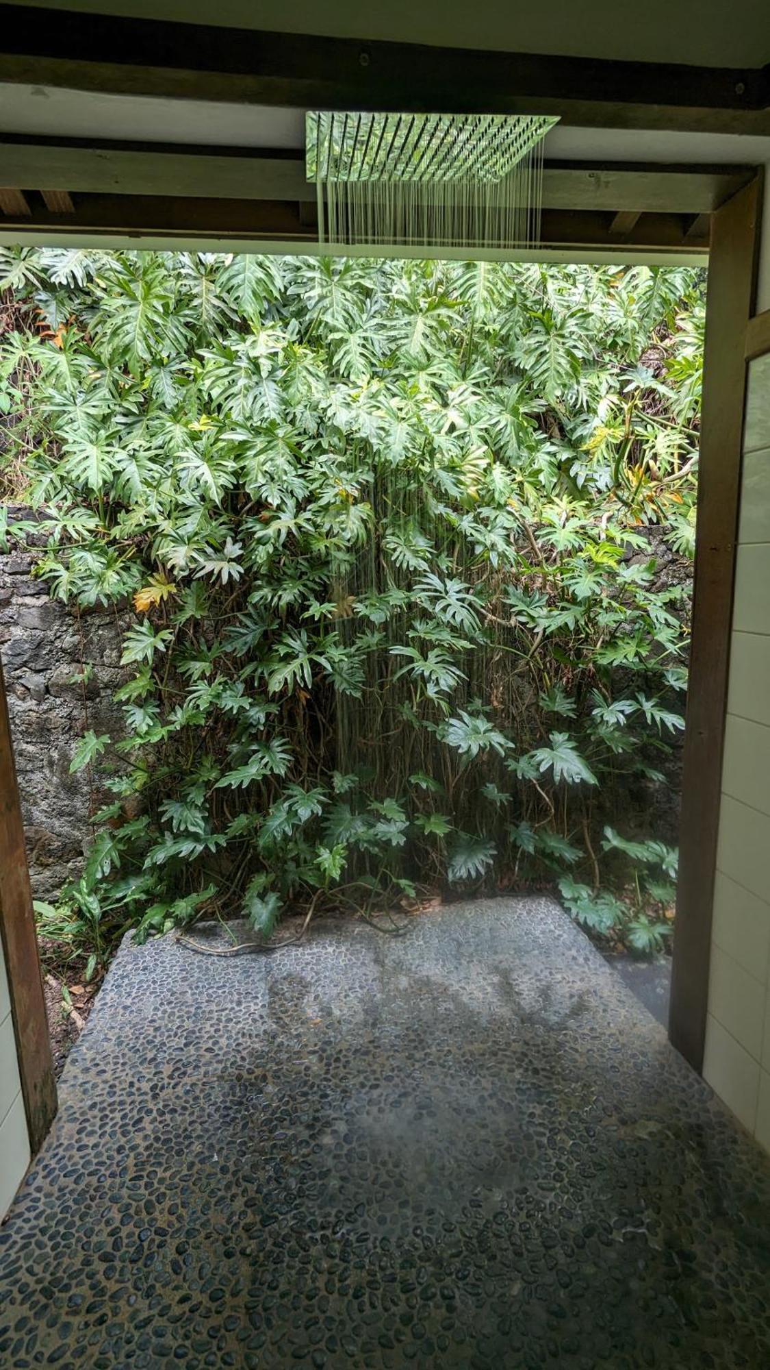 Ecolodges Karet Deshaies Exterior foto